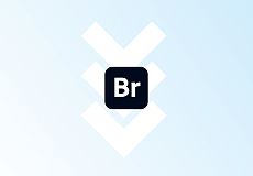 Установка Bridge